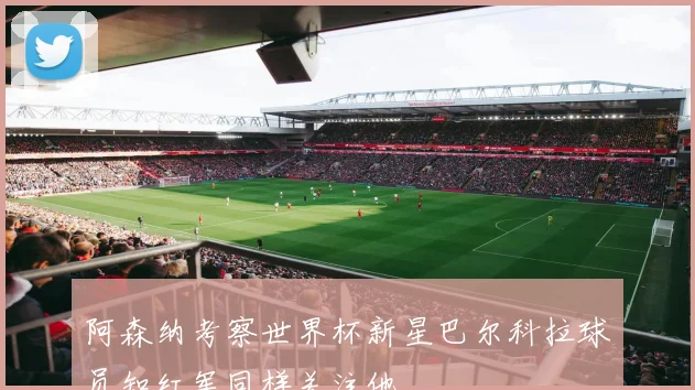 阿森纳考察世界杯新星巴尔科拉球员知红军同样关注他